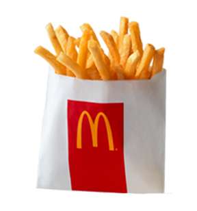 Portion of Fries